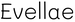 Evellae